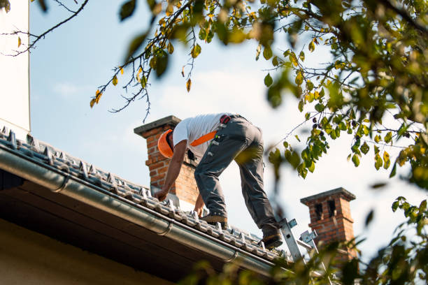 Best Chimney Flashing Repair  in South Oroville, CA