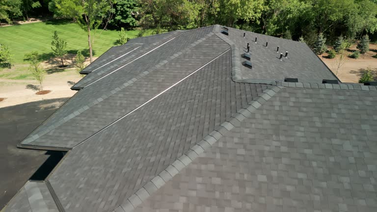 Best Solar Panel Roofing Installation  in South Oroville, CA