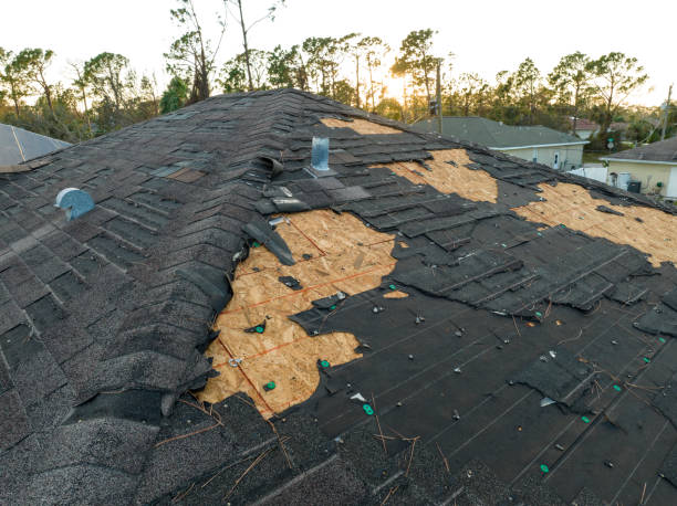 Best Roof Insulation Installation  in South Oroville, CA